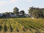 Riverbank Estate Winery, Caversham, April 2021 02